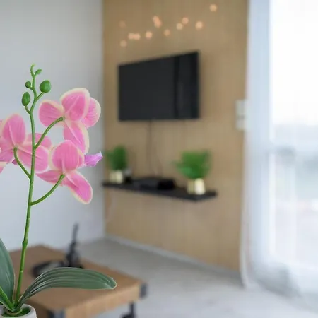 Cosy Proche Gare Apartamento *